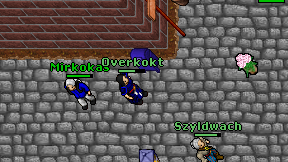 Overkokt on screen