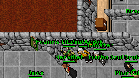 Feanris the Defender on screen