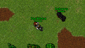 Jackhea on screen