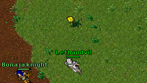 Lethandvil on screen