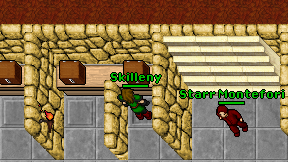 Skilleny on screen
