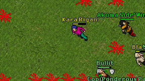 Kara Rigan on screen