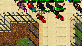 Katroned on screen