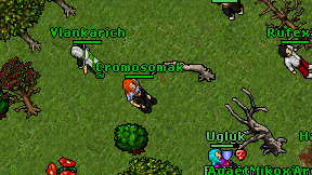 Cromosomak on screen