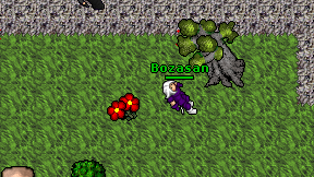 Bozasan on screen