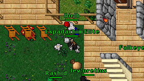 Dirib on screen