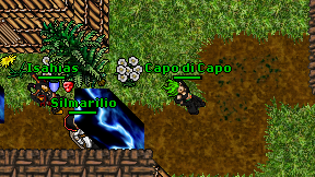 Capo di Capo on screen