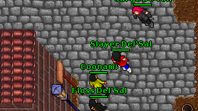 Coonami on screen