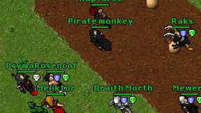 Pirate monkey on screen
