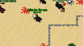 Ninja Brau on screen