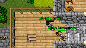 Ayon Karan on screen