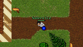 Solero Ice on screen