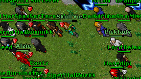 Skull Viel on screen
