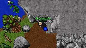 Kieepol on screen