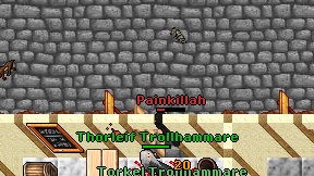 Painkillah on screen