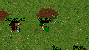 Valdils on screen