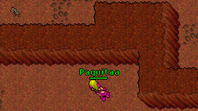 Paquitaa on screen