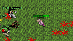 Xequtern on screen