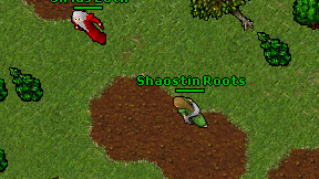 Shaostin Roots on screen