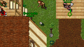 Devado on screen