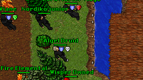 Algel Druid on screen