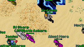 Optenumis on screen