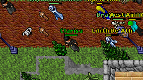 Clarisa on screen