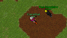 Caroltal on screen