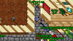 Turretas on screen