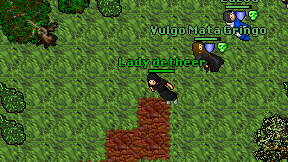 Lady detheer on screen