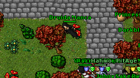 Druida Manca on screen