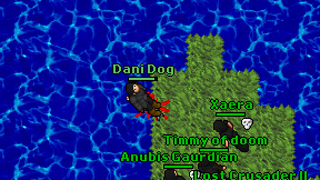 Dani Dog on screen