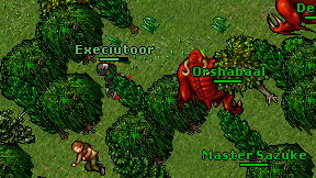 Execiutoor on screen