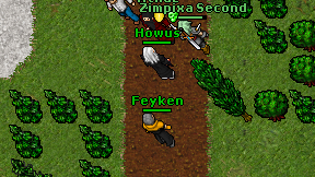 Feyken on screen