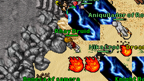 Rhay Druid on screen
