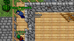 Ginhe on screen