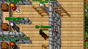 Er Runer on screen