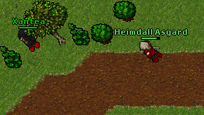 Heimdall Asgard on screen