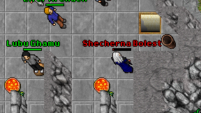 Shecherna Bolest on screen