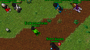 Eckenstein on screen