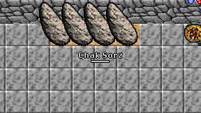 Chak Sorz on screen
