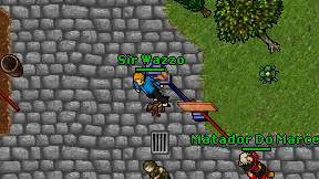 Sir Wazzo on screen