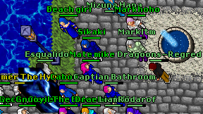 Markltm on screen