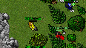 Gifomux on screen