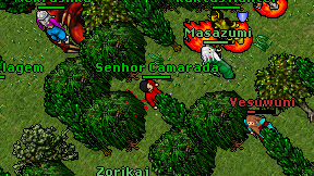 Senhor Camarada on screen