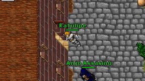 Katulipe on screen