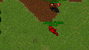 Arca Fann on screen