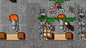 Choggi on screen