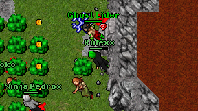 Rulexx on screen