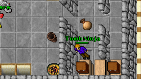 Tomb Ninja on screen